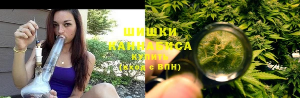 ешки Долгопрудный