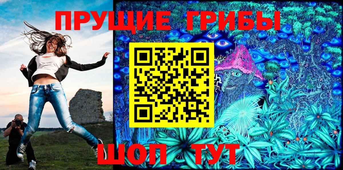 Карачаевск  Галлюциногенные грибы ЛСД  Галлюциногенные грибы Psilocybe  Вход с VPN 