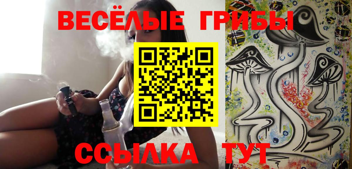 Псилоцибиновые грибы прущие грибы Карачаевск