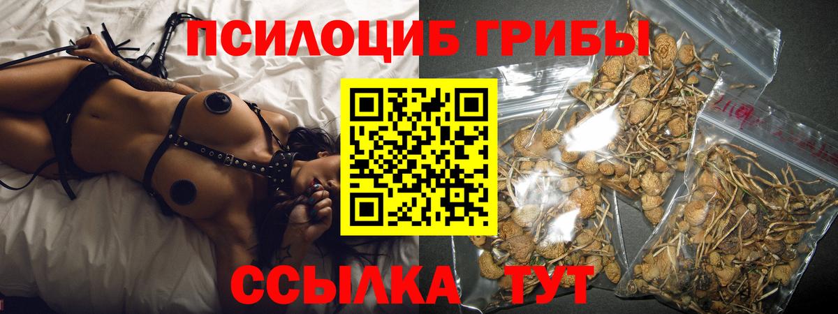 Псилоцибиновые грибы GOLDEN TEACHER  Карачаевск 