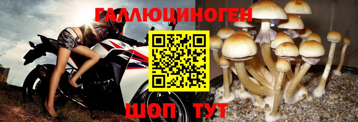 Галлюциногенные грибы ЛСД Карачаевск