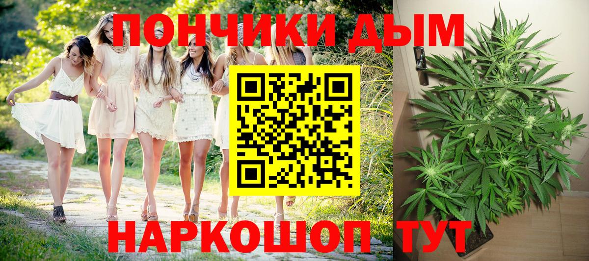 МАРИХУАНА планчик Карачаевск